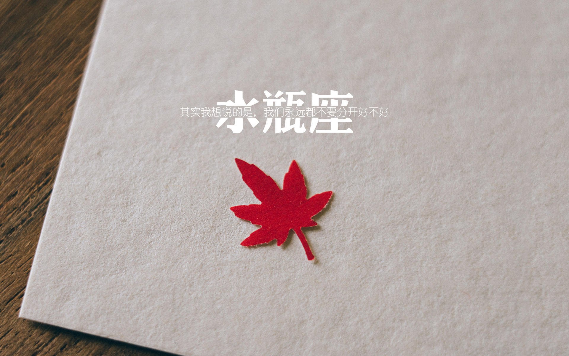 中国篮球联赛品牌建设与商业价值提升策略研究,篮球联赛简介