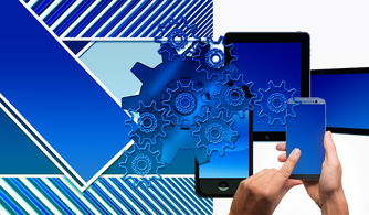 kaiyun体育综合-中国篮球联赛品牌建设及粉丝经济研究，国内篮球职业联赛