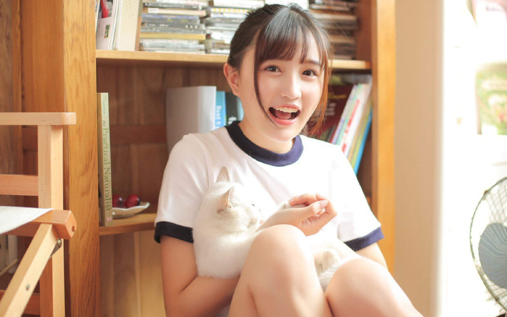 体育赛事安全管理体系，体育赛事安全管理体系包括