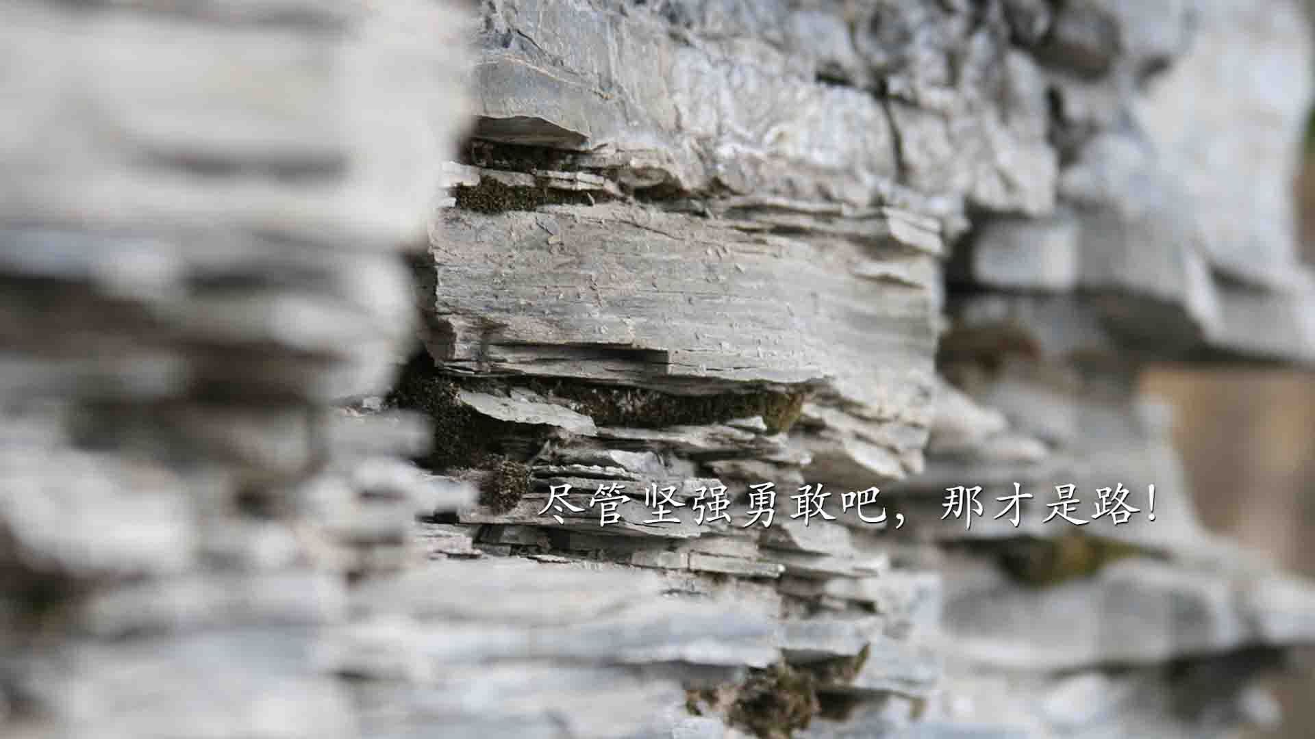 全国青少年马拉松比赛激励未来体育新星，青年马拉松报名