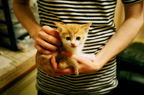 开云体育-夺冠之路：解读各队夺冠的策略和关键因素，夺冠的细节分析