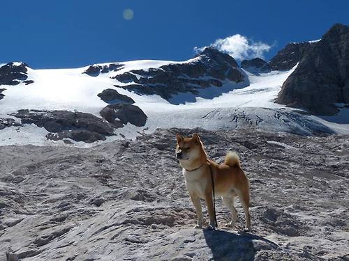 意甲球队通过数据分析优化中场组织策略,意甲球队球场