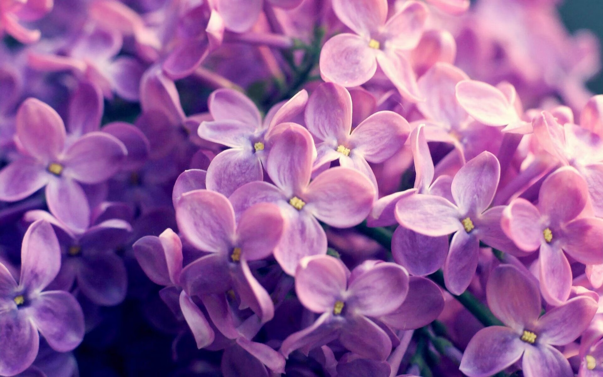 欧冠格局变化：“黑马”球队崭露头角