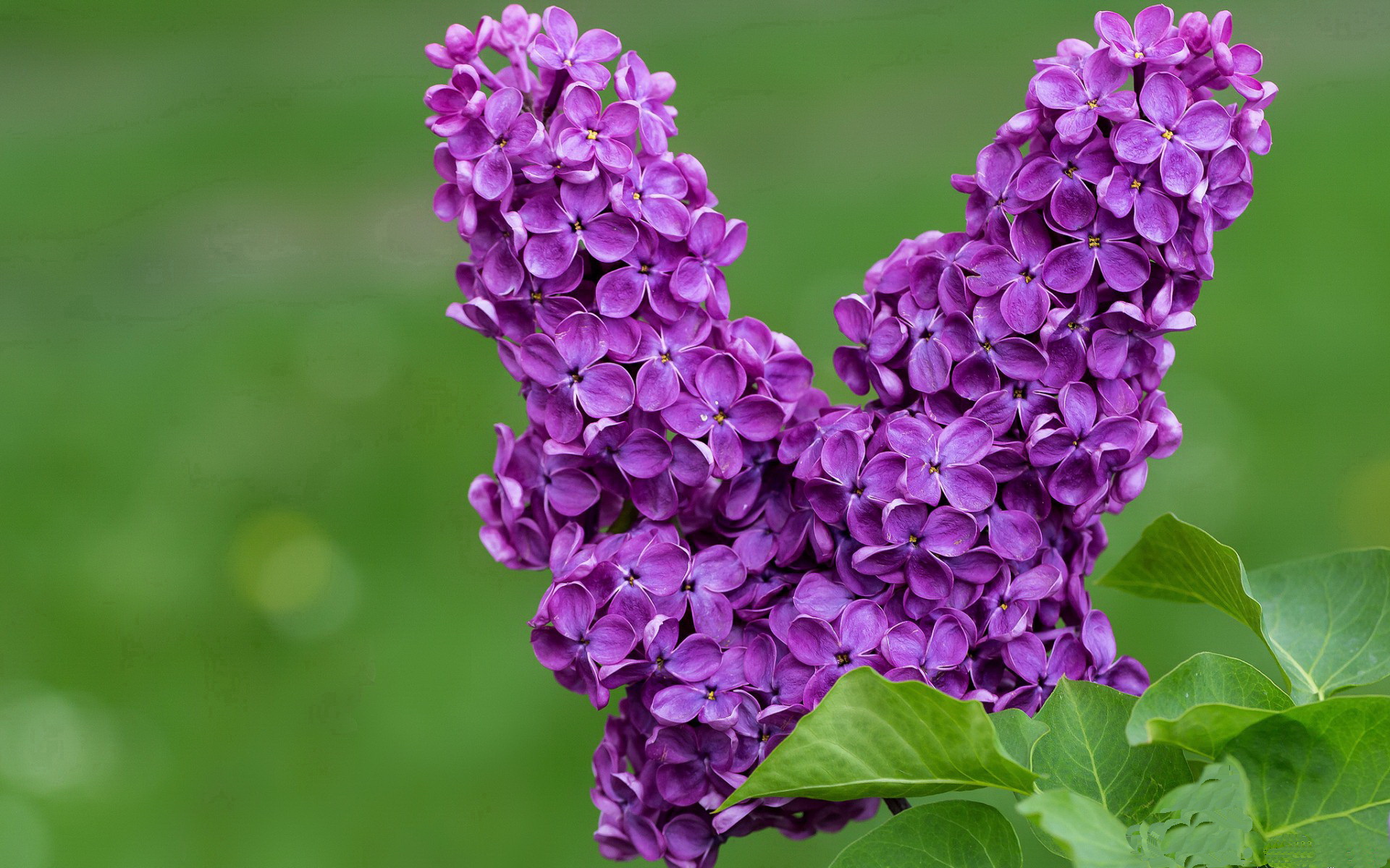 kaiyun.com-英超厉兵秣马：豪门球队最新引援盘点，英超落寞豪门