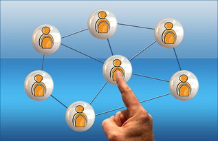 开云·Kaiyun网页版-2024年国际乒联混合团体世界杯：德国队顽强拼搏，2024世乒赛