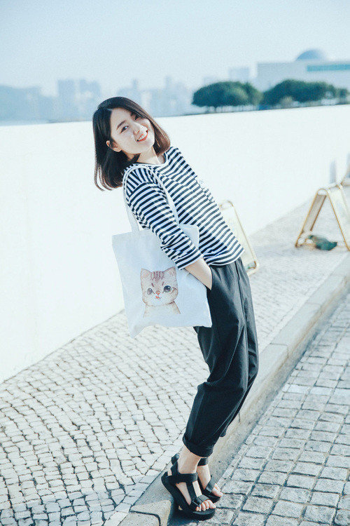 浙江雄狮全明星阵容成就辉煌赛季表现，浙江雄狮篮球队