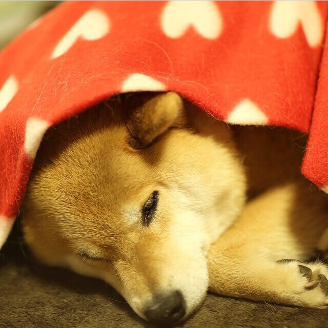 职业联赛人才外流背后反映管理缺陷,中国职业联赛存在的问题及其解决方法