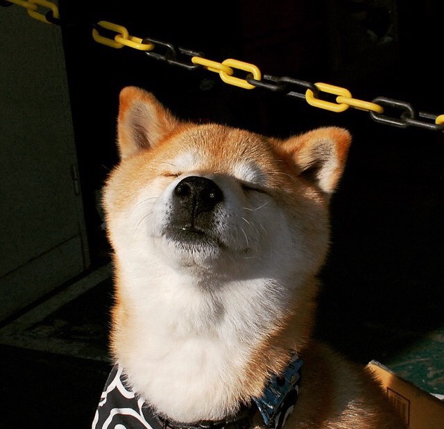 青年运动员媒体训练内容更注重形象管理,从媒介分析运动员体测事件