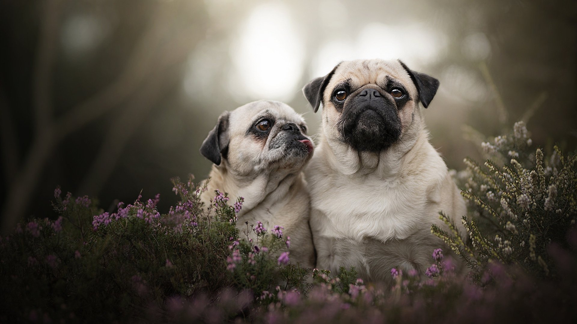 世界杯场场精彩：扣人心弦的逆转与绝杀，世界杯w