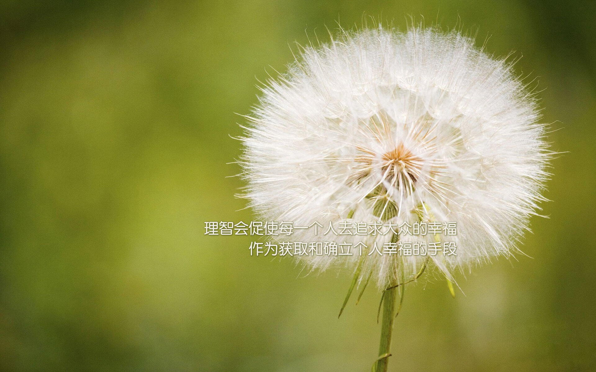 吉尔吉斯斯坦男篮在国际舞台取得突破，期待持续进步