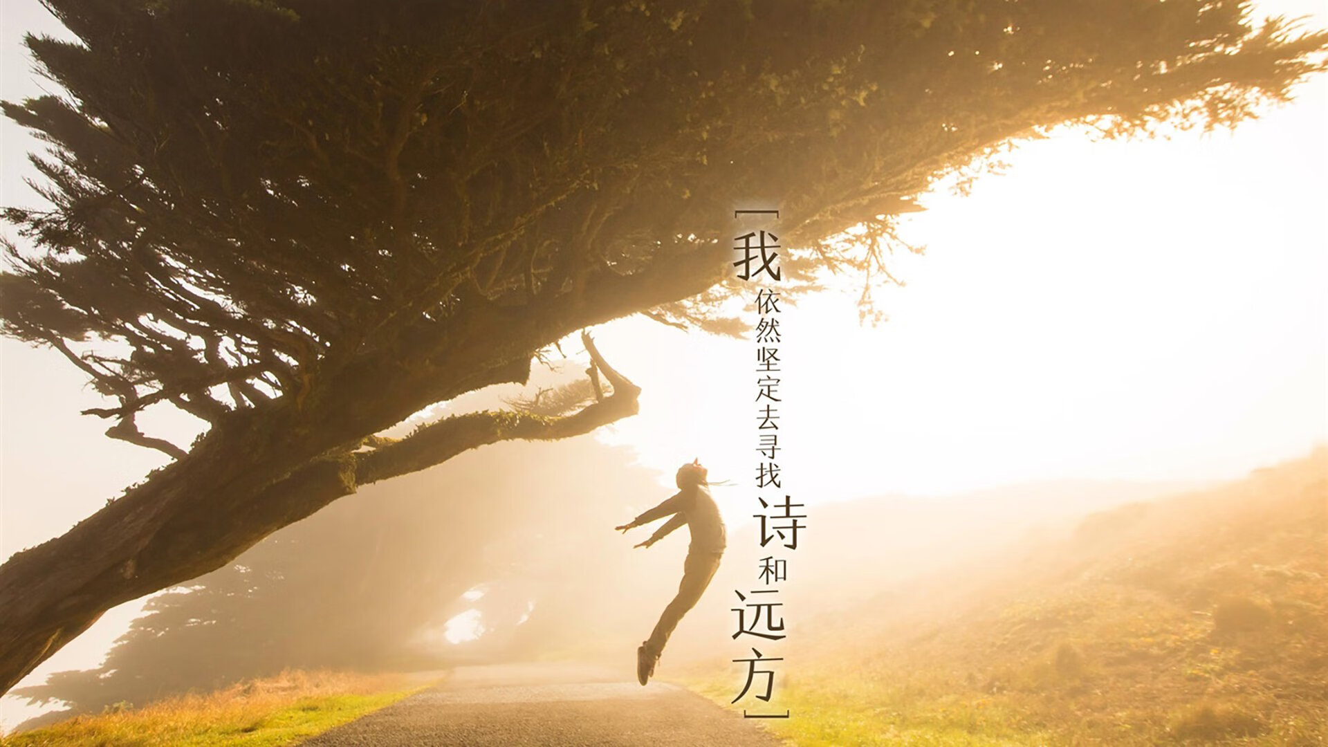 数字竞技足球比赛逐渐成为新兴娱乐热点,中国区足球数字营销奖