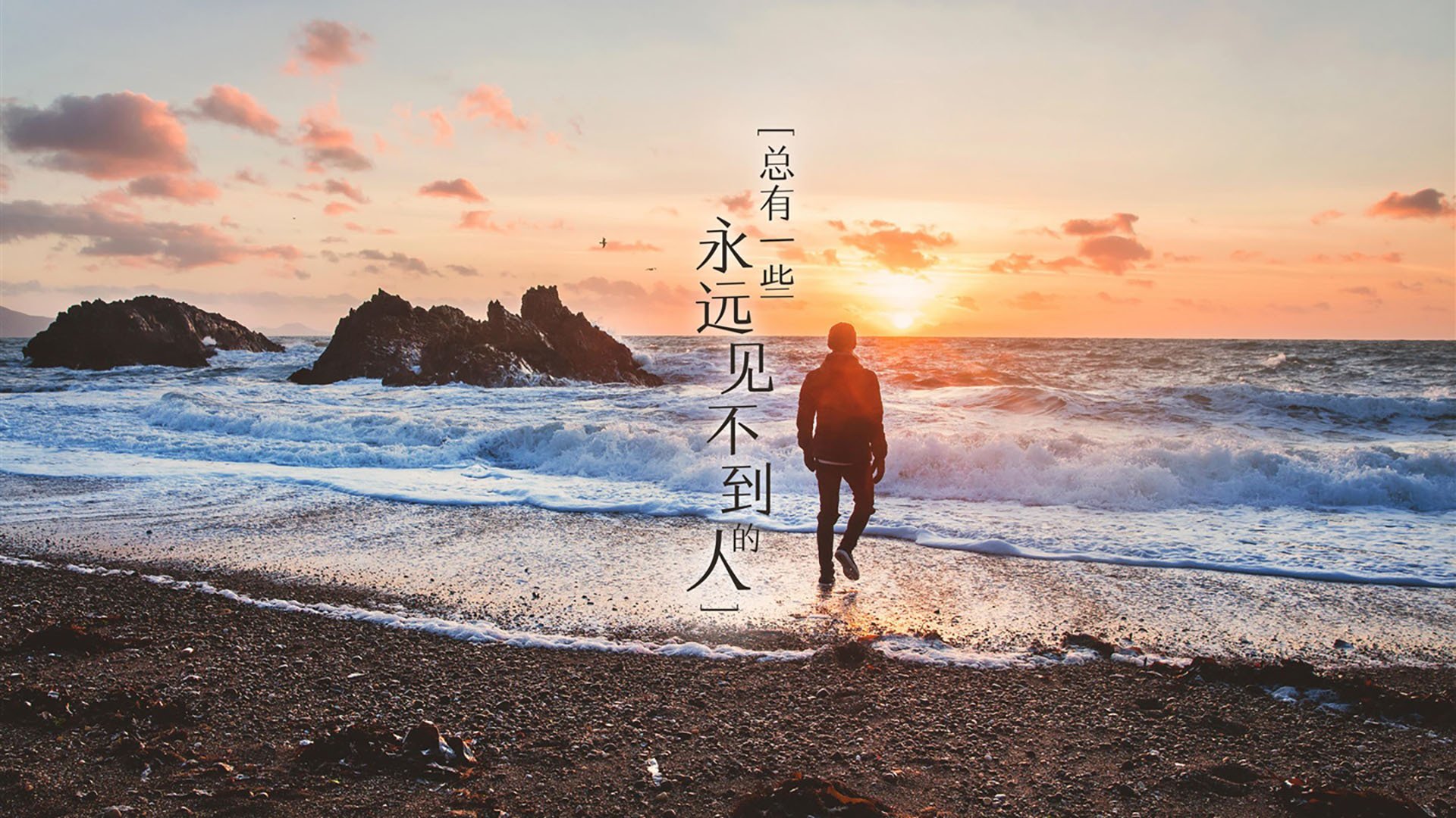 开云中国-新闻中心发布国内外高水平教练引进计划说明，高级教练员岗位培训班