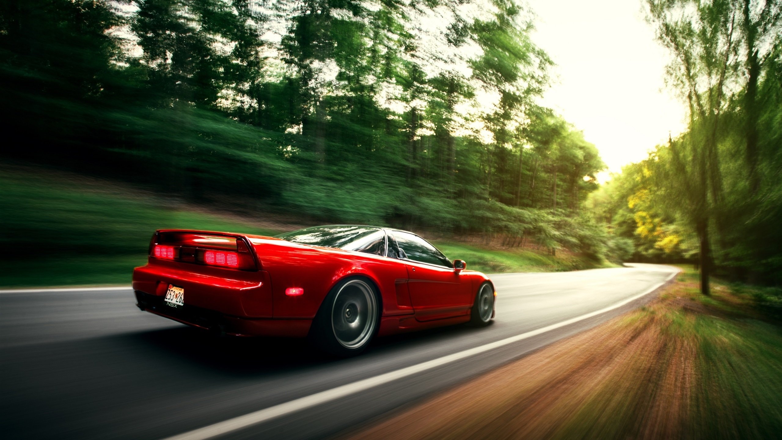 澳洲队泳池内外双重突破,未来可期,澳洲泳坛少女惊艳