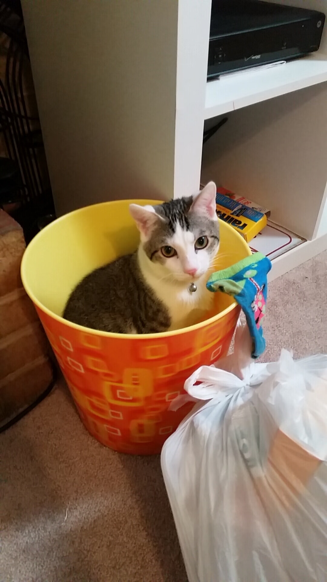 中国篮球女篮战术演变中的区域风格融合,中国女篮形势分析