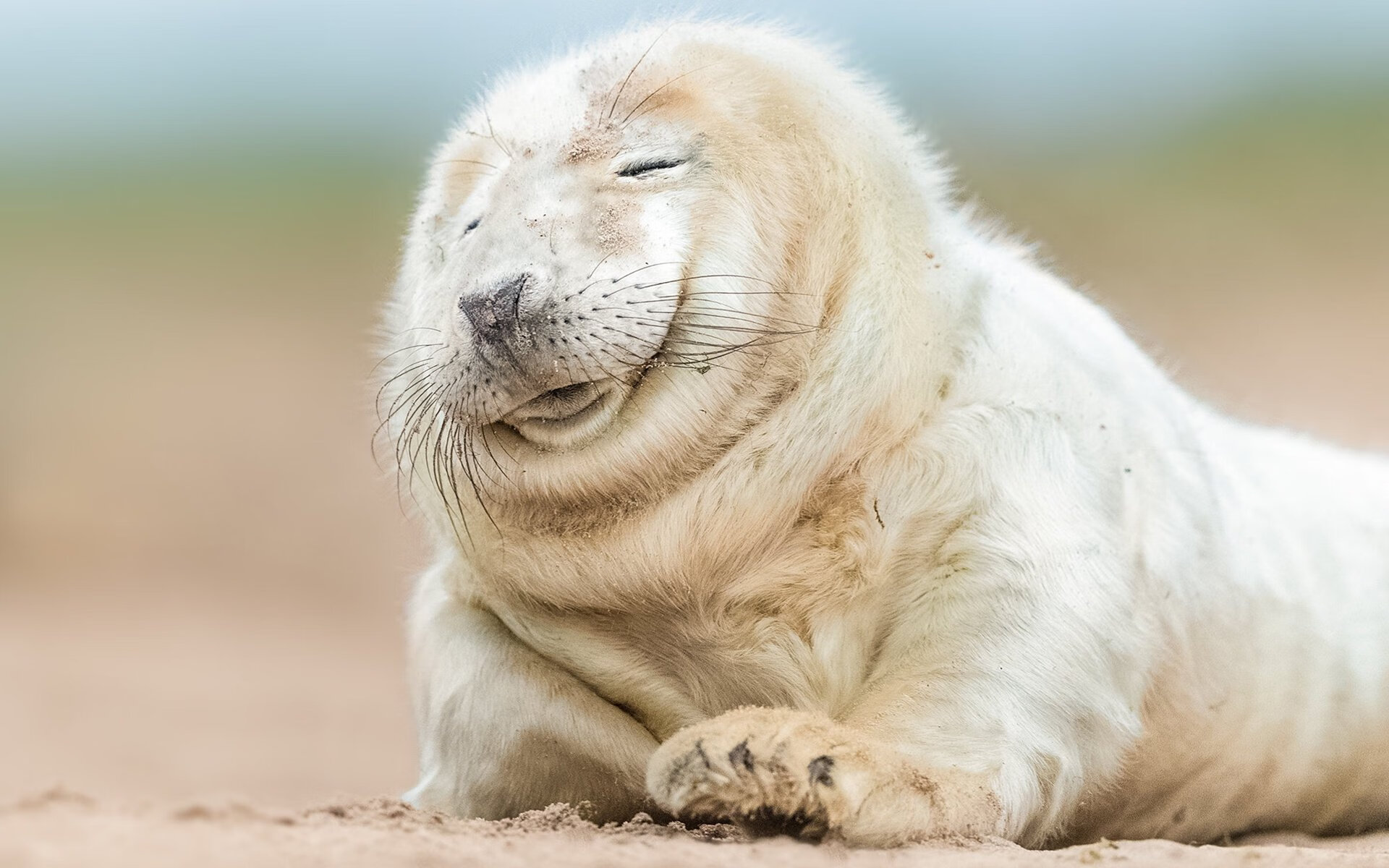 开云体育-切尔西换帅计划浮现，马雷斯卡风波不断，新主帅成焦点，切尔西中途换帅