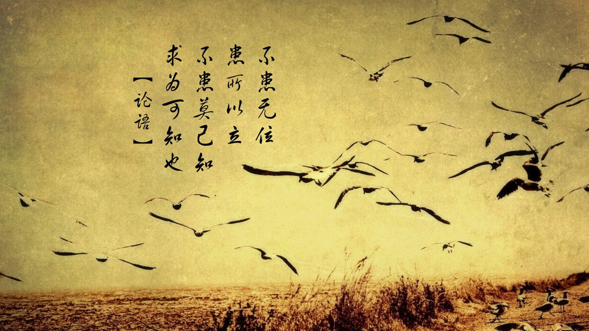 kaiyun官方网站-前新疆外援哈雷尔涉禁药禁赛遭解约，哈雷尔比赛视频